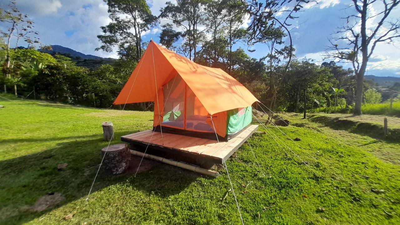 Ecoxplora-Zona De Camping Jardín Kültér fotó
