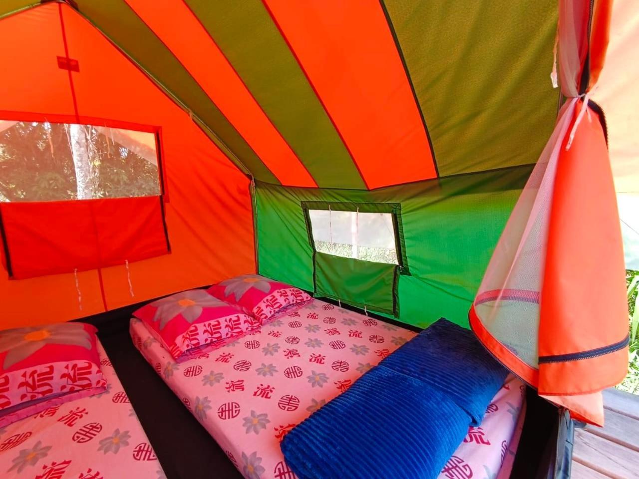 Ecoxplora-Zona De Camping Jardín Kültér fotó