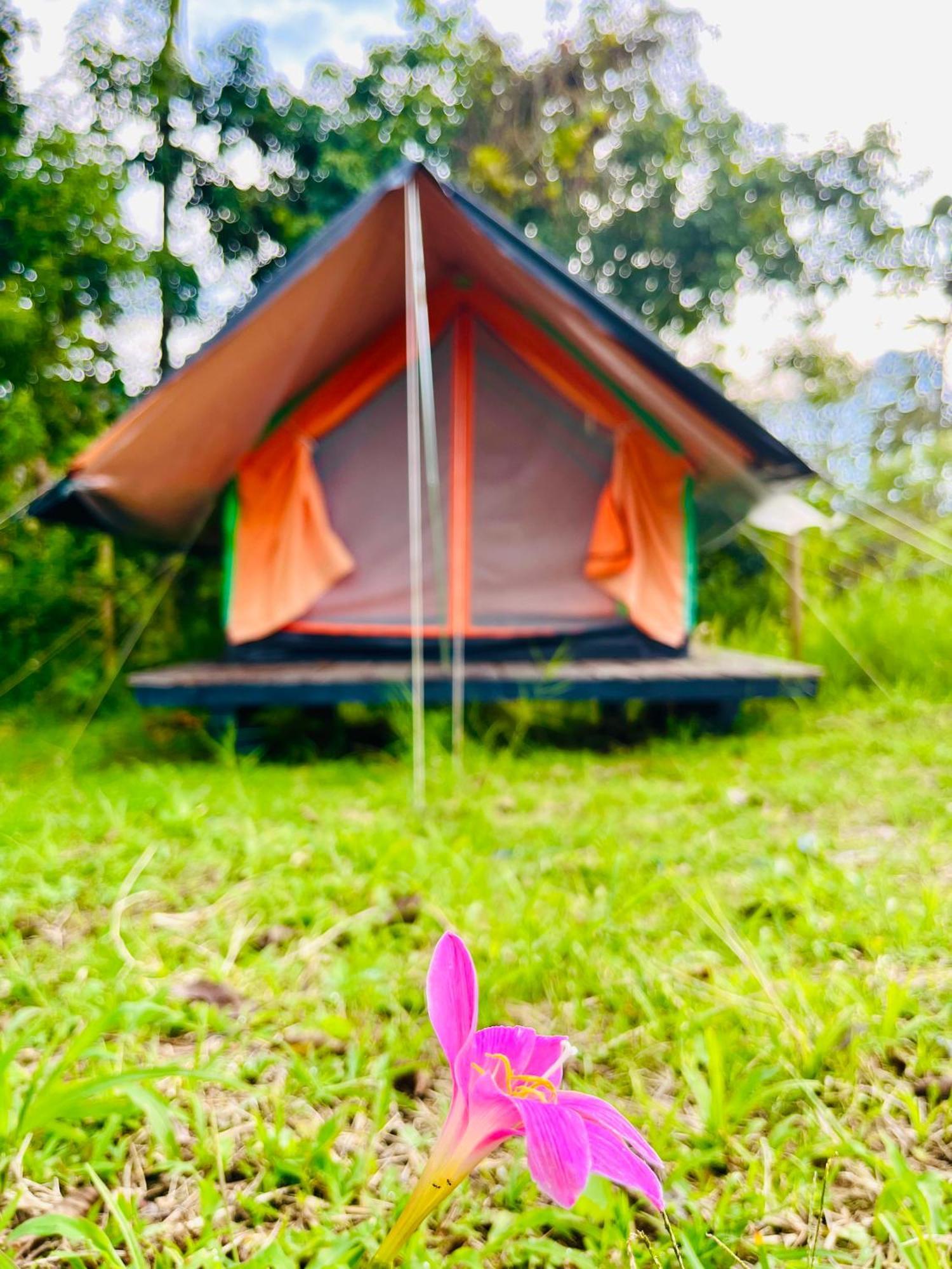 Ecoxplora-Zona De Camping Jardín Kültér fotó