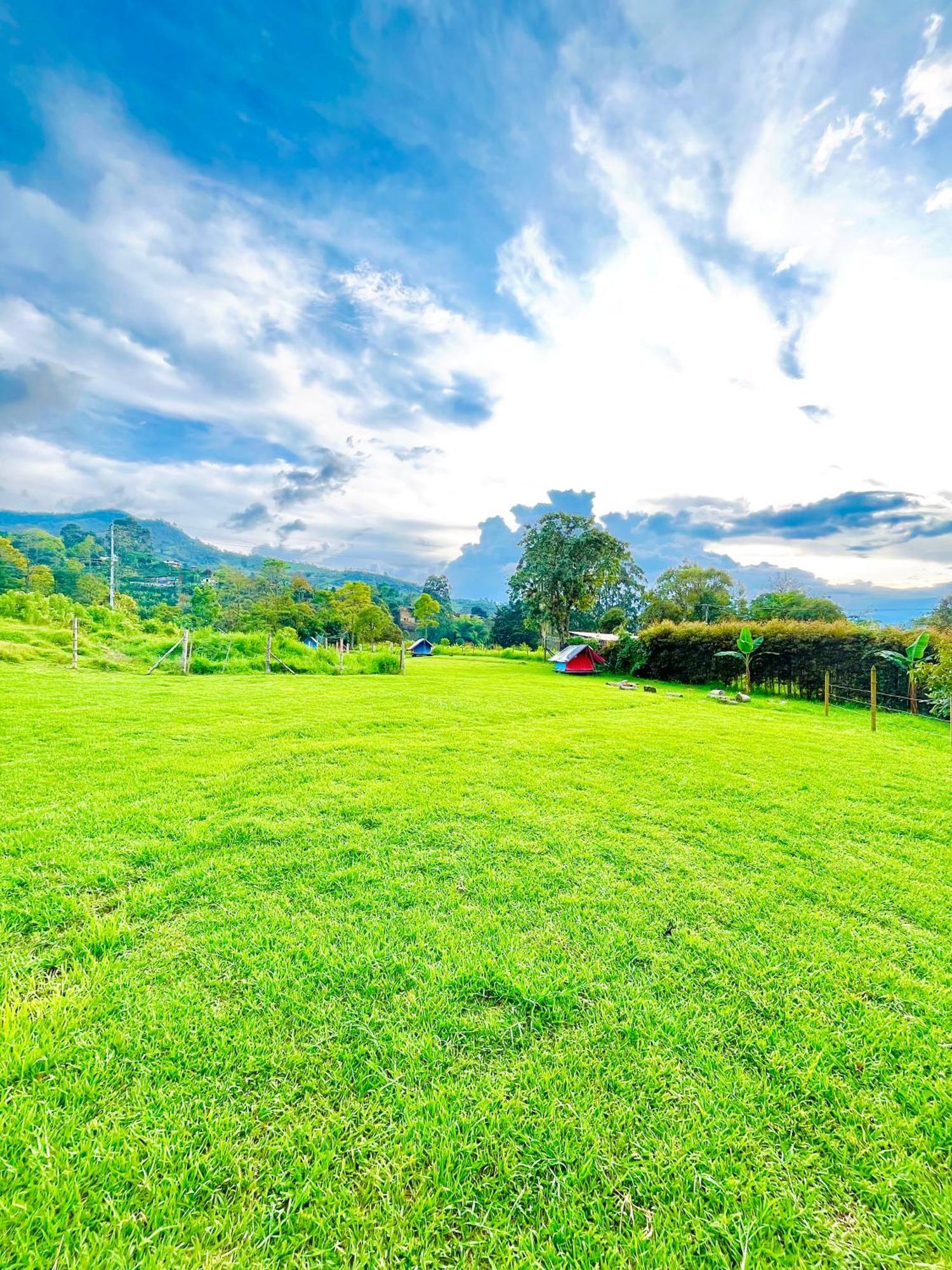 Ecoxplora-Zona De Camping Jardín Kültér fotó