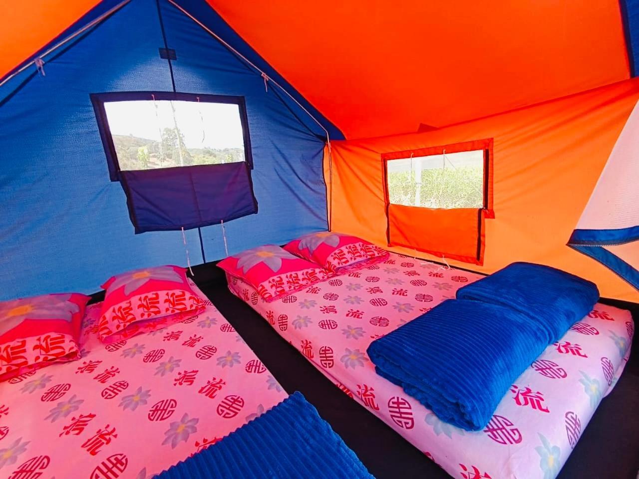 Ecoxplora-Zona De Camping Jardín Kültér fotó